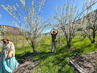 Vedic eco village orchard 